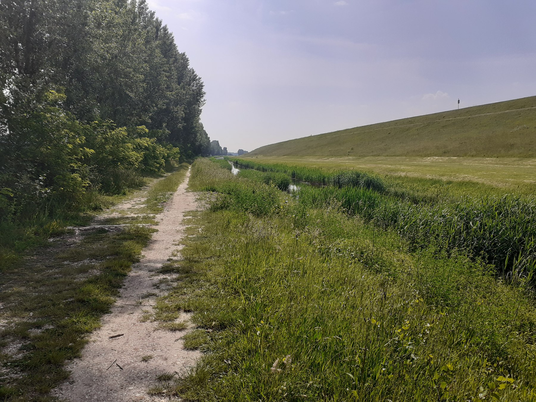 Vodohospodárske prostredie lokality. Fotografia z podkladov projektu z mája 2024.